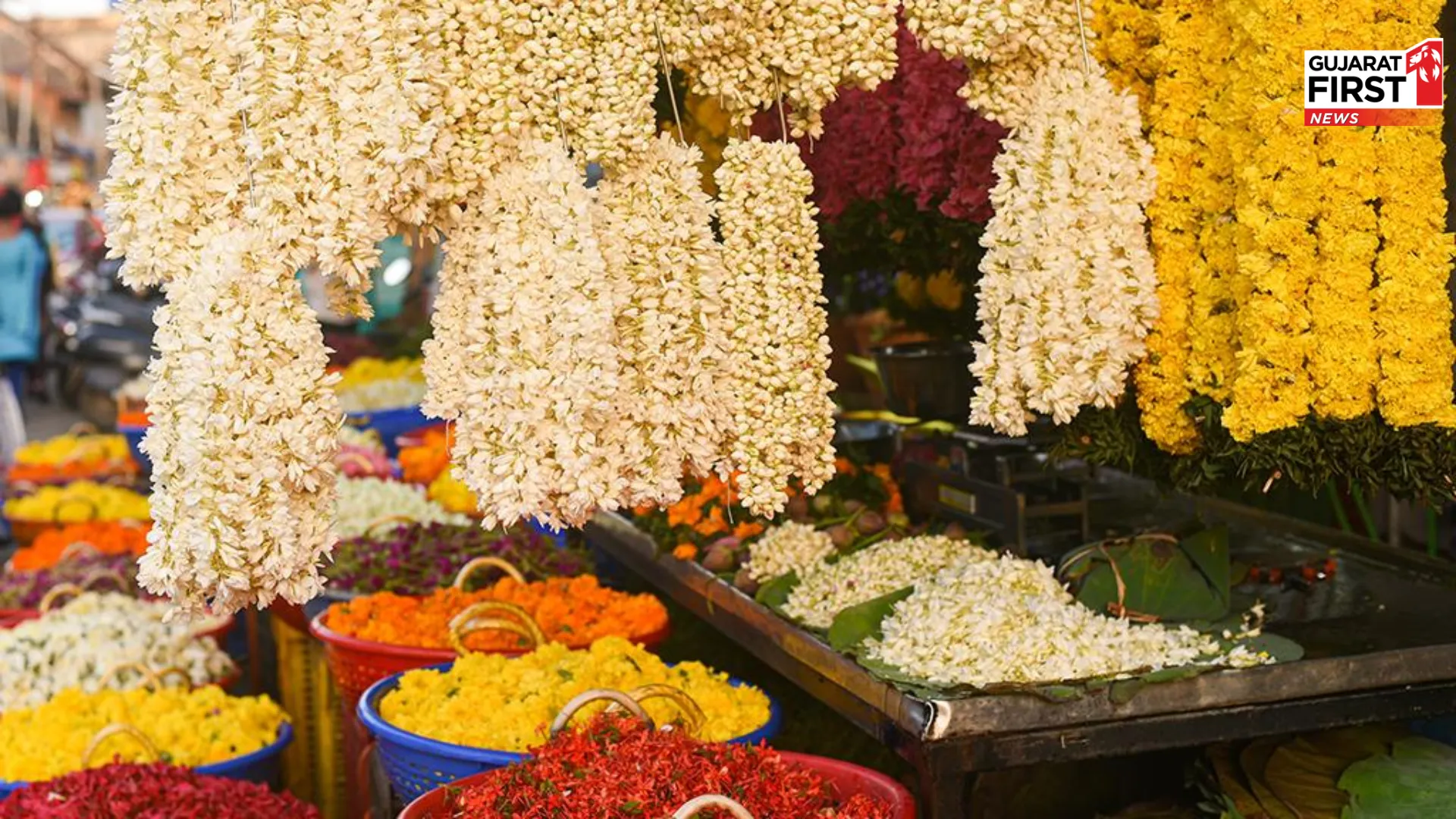 Chhota Udepur Flowers Rate