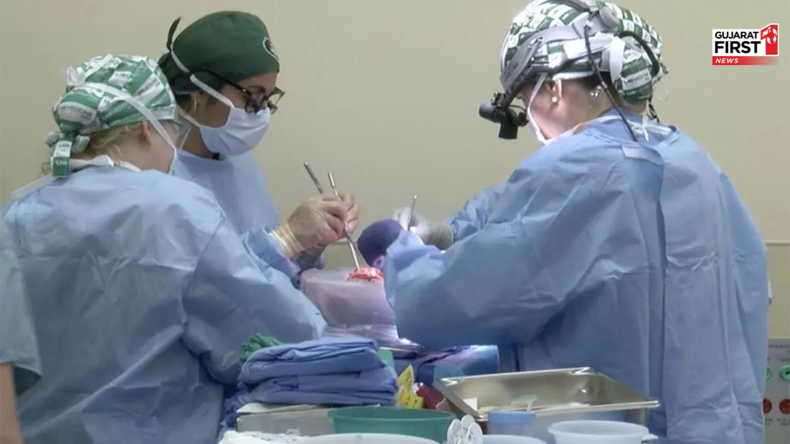 US Surgeons Transplant Pig Kidney To Patient