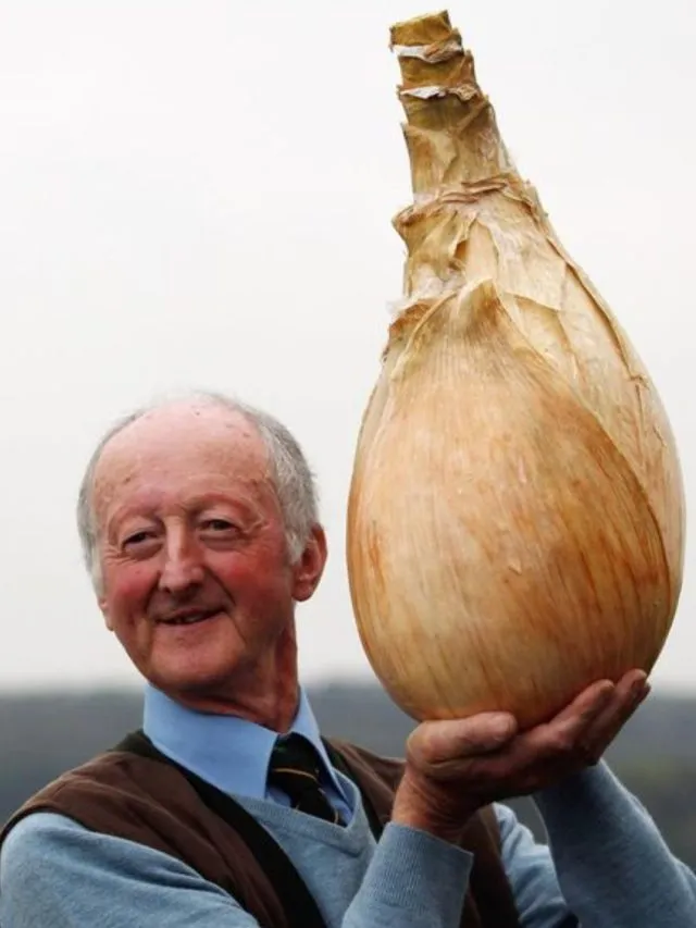 Biggest Onion: આ ખેડૂતે અનોખી રીતે ખેતી કરી ઉગાડી મહાકાય ડુંગળી